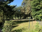 Konradsreuth 1394 - Natur pur: 1-3 Familienhaus in Alleinlage bei Konradsreuth Haus kaufen