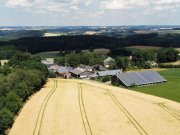 Konradsreuth Nähe Hof: 1-2 Fam.Haus mit Scheune, Halle, Stall und Werkstatt Haus kaufen