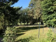 Konradsreuth Natur pur: 1-3 Familienhaus in Alleinlage bei Konradsreuth Haus kaufen