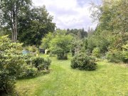 Geroldsgrün Charmantes 1-2 Familienhaus umgeben von Naturidylle in Geroldsgrün Haus kaufen