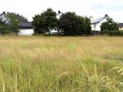 Sparneck Schönes Baugrundstück am Fuße des Waldsteins Grundstück kaufen