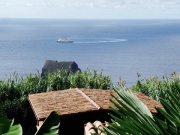 Lomba do Vasco Neue Existenz, Azoren! Traumhafte Ferienanlage, Haupthaus + 3 Ferienhäuser, mediterraner Garten Haus kaufen