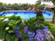 Lomba do Vasco Neue Existenz, Azoren! Traumhafte Ferienanlage, Haupthaus + 3 Ferienhäuser, mediterraner Garten Haus kaufen