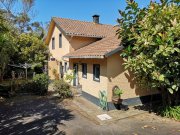 Lomba do Vasco Neue Existenz, Azoren! Traumhafte Ferienanlage, Haupthaus + 3 Ferienhäuser, mediterraner Garten Haus kaufen