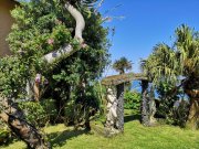 Lomba do Vasco Neue Existenz, Azoren! Traumhafte Ferienanlage, Haupthaus + 3 Ferienhäuser, mediterraner Garten Haus kaufen