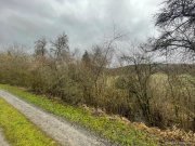 Ostheim vor der Rhön Verwildertes Freizeitgrundstück mit Bebauungsmöglichkeit - Teilweise erschlossen Grundstück kaufen