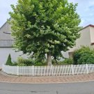 Grünsfeld Gediegenes Landhaus mit Sauna und Nebengebäude im romantischen Taubertal Haus kaufen