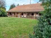 Vasvár UNGARN: VERANDA-BAUERNHAUS in sehr gutem Zustand bei Vasvar mit zusätzlichem Wald-Grundstück! Haus kaufen