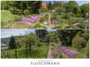 Zella-Mehlis Idyllisches Freizeitgrundstück mit Weitblick in Zella-Mehlis Grundstück kaufen