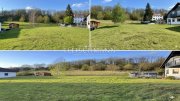 Schmalkalden Dein Logenplatz im Grünen: Bauplatz-Glück in Niederschmalkalden! Grundstück kaufen