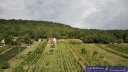 Vinica Anwesen mit Weinberg und Wohnhaus in Vinica Gewerbe kaufen