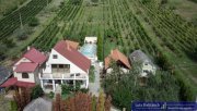 Vinica Haus mit Nebenhäusern, Pool und Weinberg Haus kaufen