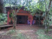 La Virgen Vanilleplantage - Wo das Grundstück endet, fängt der Dschungel an Gewerbe kaufen