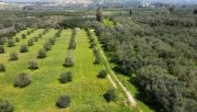 Bad Krozingen Kreta, Sivas Landwirtschaftliche Fläche 10.808m² mit Lagerhaus Grundstück kaufen