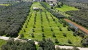 Bad Krozingen Kreta, Sivas Landwirtschaftliche Fläche 10.808m² mit Lagerhaus Grundstück kaufen