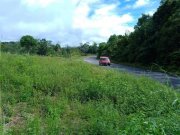  Brasilien 100 Ha Grundstück in der Nähe von Novo Airo AM Grundstück kaufen