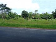  Brasilien 100 Ha Grundstück in der Nähe von Novo Airo AM Grundstück kaufen