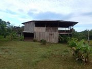  Brasilien 100 Ha Tiefpreis - Grundstück mit Fischteich und Holzhaus in der Nähe von Manaus Grundstück kaufen