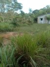  Brasilien 100 Ha Tiefpreis - Grundstück mit Fischgewässer und Holzhaus in der Nähe von Manaus Grundstück kaufen