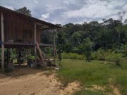  Brasilien 1'000 Ha Tiefpreis - Grundstück mit Rohstoffen Gewerbe kaufen