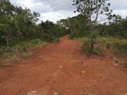  Brasilien 1'000 Ha Tiefpreis - Grundstück mit Rohstoffen Grundstück kaufen
