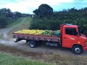  Brasilien 1036 Ha Früchte - Kokosnuss - Viehzucht – Farm mit Sandmine Manaus - AM Grundstück kaufen