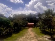  Brasilien 20 Ha Bauernhaus - Fischzucht und Plantagen Grundstück kaufen