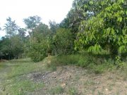  Brasilien 25 Ha Grundstück bei Rio Preto da Eva AM Grundstück kaufen