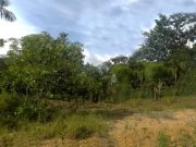  Brasilien 25 Ha Grundstück bei Rio Preto da Eva AM Grundstück kaufen