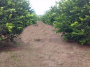  Brasilien 25 Ha Grundstück bei Rio Preto da Eva AM Grundstück kaufen