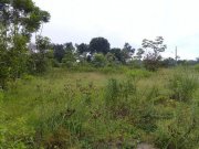  Brasilien 40 Ha Fischzucht in der Region Manaus AM Grundstück kaufen