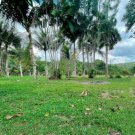  Brasilien 46.9 Ha Tiefpreis- Grundstück bei Presidente Figueiredo AM Grundstück kaufen