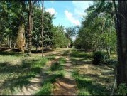  Brasilien 46.9 Ha Tiefpreis- Grundstück bei Presidente Figueiredo AM Grundstück kaufen