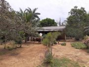 Brasilien 50 Ha Tiefpreis-Grundstück bei Presidente Figueiredo AM Grundstück kaufen