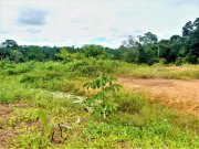  Brasilien 50 Ha Tiefpreis-Grundstück bei Presidente Figueiredo AM Grundstück kaufen