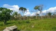  Brasilien 50 Ha Tiefpreis-Land mit Holzhaus und Privatsee Grundstück kaufen