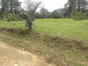  Brasilien 60 Ha Früchtefarm Presidente Figueiredo Am Grundstück kaufen