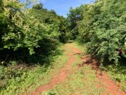  Brasilien 6'000 Ha Tiefpreis - Grundstück mit Rohstoffen Grundstück kaufen