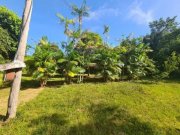  Brasilien 75 Ha Tiefpreis-Grundstück bei Region Manaus AM Grundstück kaufen