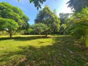  Brasilien 75 Ha Tiefpreis-Grundstück bei Region Manaus AM Grundstück kaufen