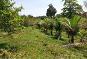 Brasilien 75.035 Ha Tiefpreis-Grundstück bei der Stadt Balbina AM Grundstück kaufen