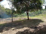  Brasilien 80 Ha Tiefpreis - Grundstück mit Rohstoffen Region Manaus-Balbina AM Grundstück kaufen