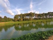  Brasilien 808 Ha Orangen-Kokosnuss-Acai-Fischzucht- Farm mit Privatsee Grundstück kaufen