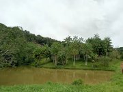  Brasilien 92 Ha Tiefpreis-Grundstück mit Privatsee Grundstück kaufen