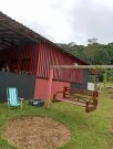  Brasilien 92 Ha Tiefpreis-Grundstück mit Privatsee Grundstück kaufen