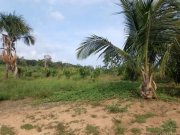  Brasilien 94.0251 Ha grosses Grundstück Grundstück kaufen