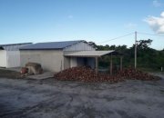  Brasilien Kokosnussölfabrik und Früchtefarm Gewerbe kaufen