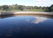  Brasilien Kokosnussölfabrik und Früchtefarm Gewerbe kaufen