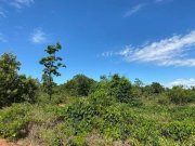  Brasilien riesengrosses 3'000 Ha Tiefpreis - Grundstück mit Rohstoffen in der Nähe von Presidente Figueiredo AM Grundstück