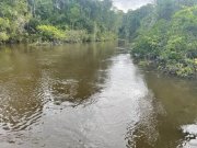  Brasilien riesengrosses 2'000 Ha Tiefpreis - Grundstück mit Rohstoffen Grundstück kaufen